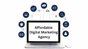 Digital marketing on a budget in noida